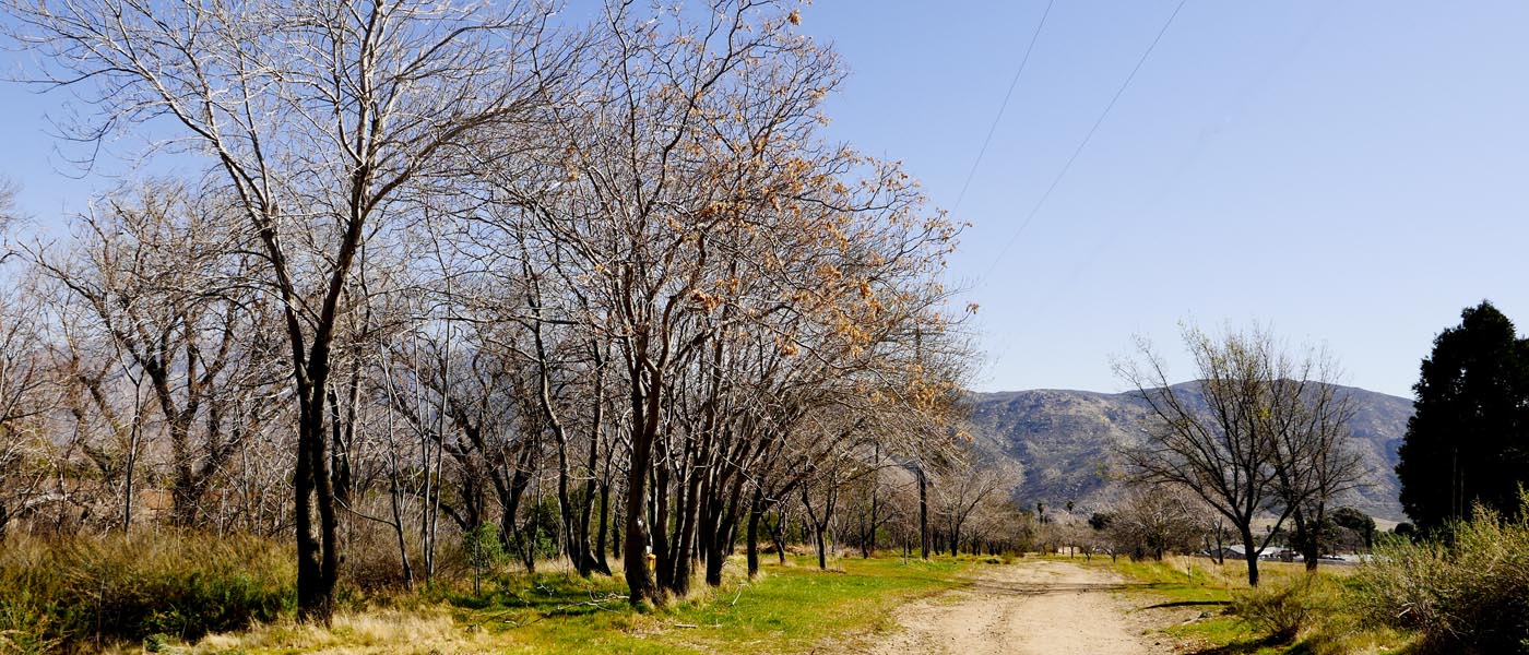 Gilman Ranch Trail image 