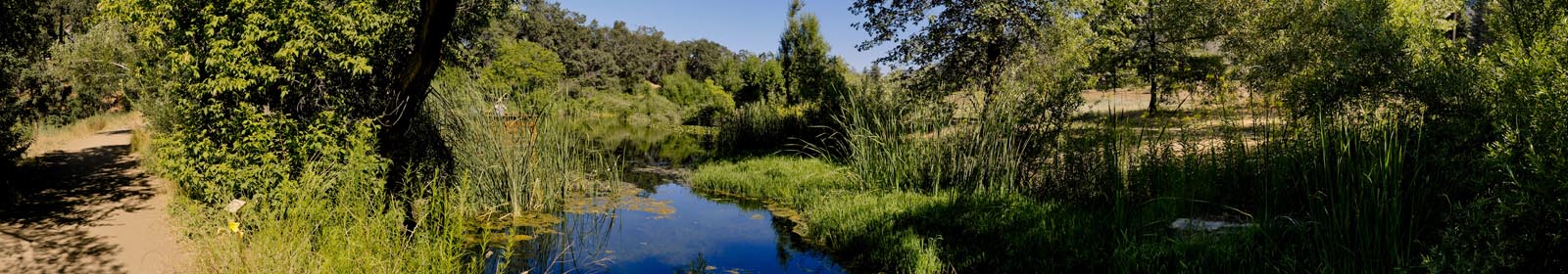 Hiking Oak Glen Preserve Lower Pond