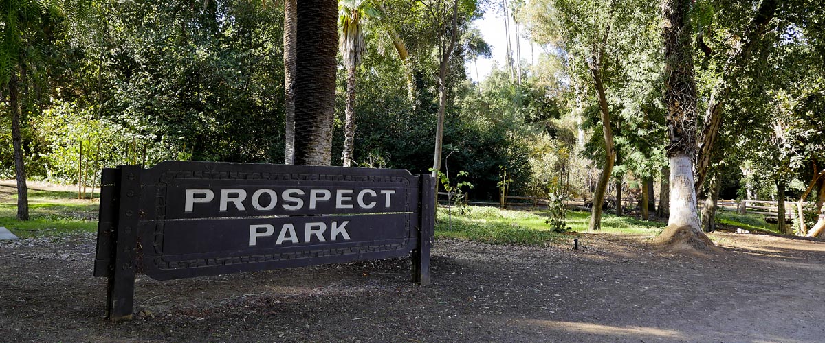 Prospect Park Hike