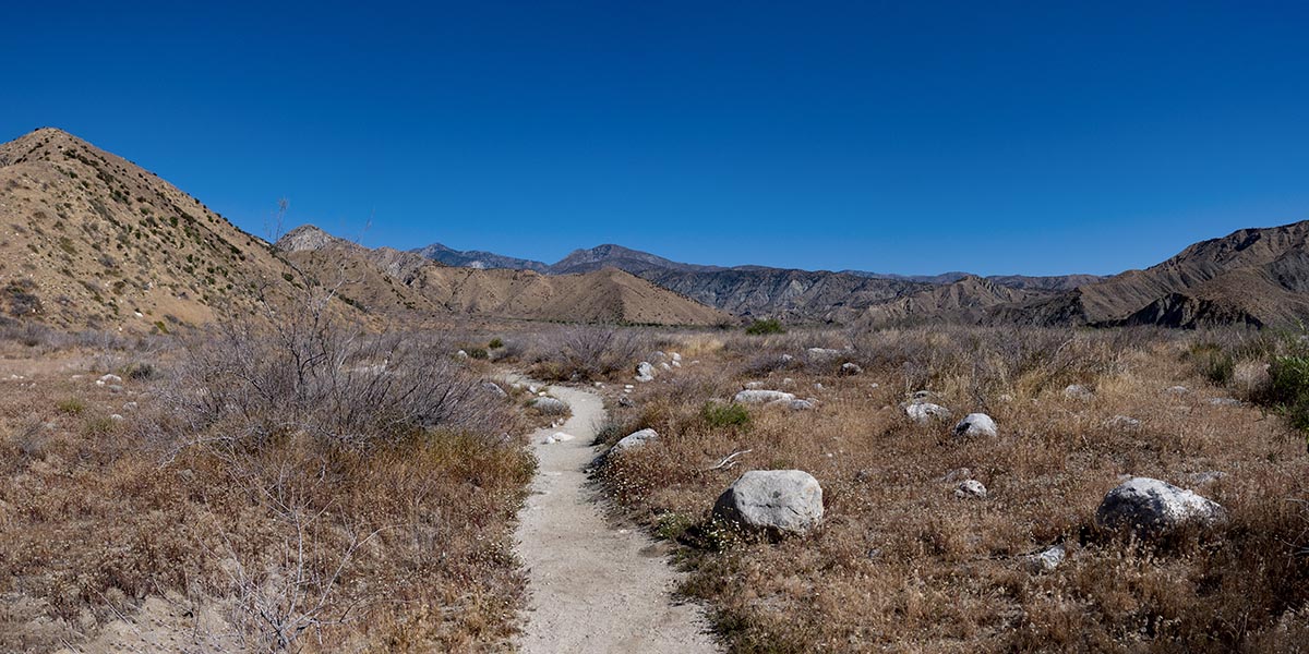 PCT to Red Dome Trail